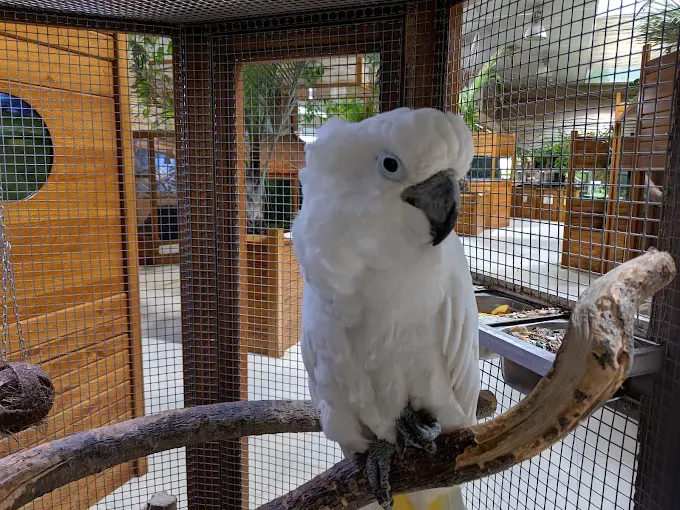 Park Edukacyjny Zoo-Egzotyczne Kaszuby